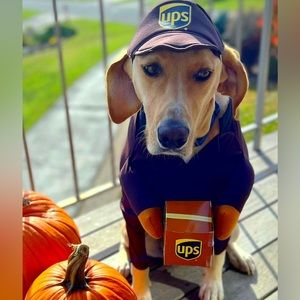 UPS costume for pet size large